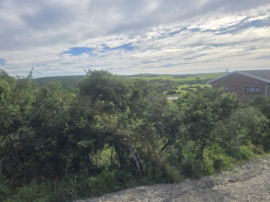 0 Bedroom Property for Sale in Bathurst Rural Eastern Cape